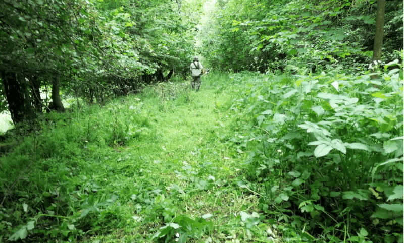 geosranda-v-humpolci