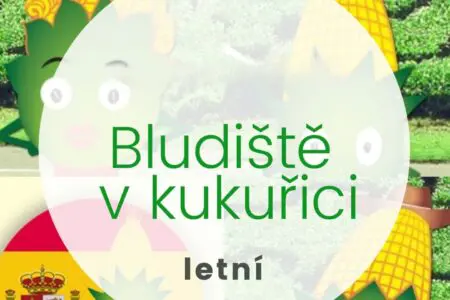 Bludiště v kukuřici