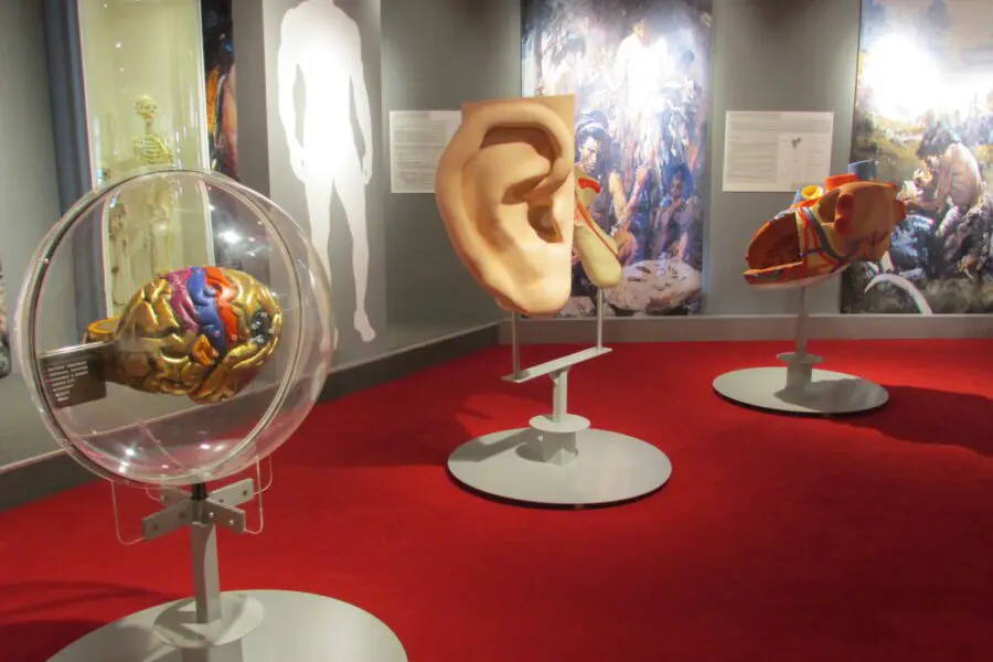 Antropologická expozice