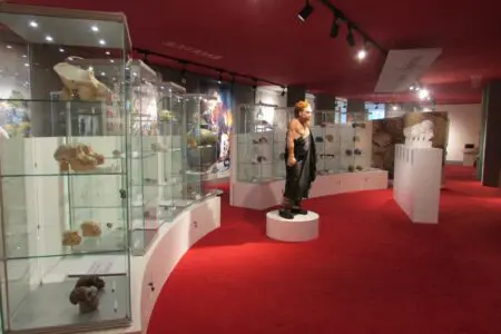 Antropologická expozice