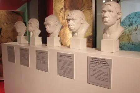 Antropologická expozice