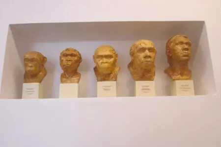 Antropologická expozice