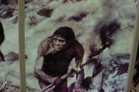 Fotografie ze staré antropologické expozice.