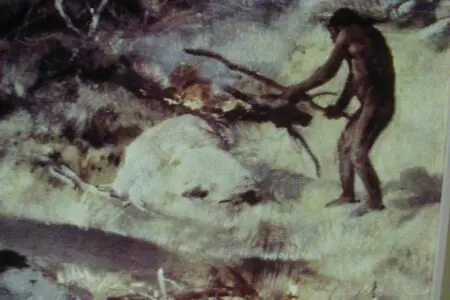 Fotografie ze staré antropologické expozice.