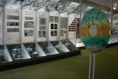 Fotografie ze staré antropologické expozice.