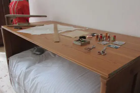 Jak se žilo, jak se šilo