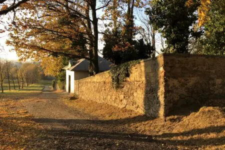 humpolec-stezky-naučna-stezka-brezina_05