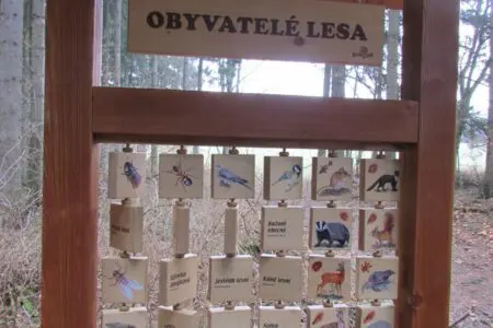 humpolec-stezky-naučna-stezka-brezina_06