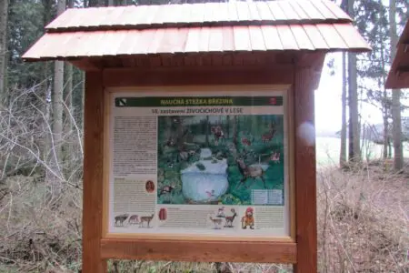 humpolec-stezky-naučna-stezka-brezina_07