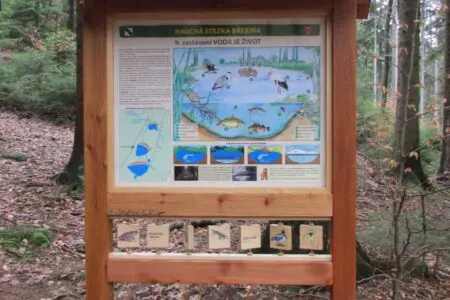 humpolec-stezky-naučna-stezka-brezina_08