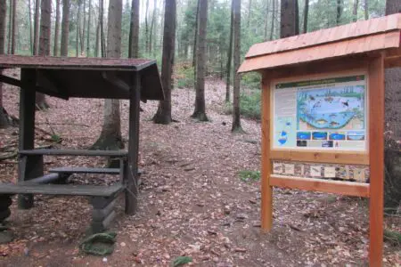 humpolec-stezky-naučna-stezka-brezina_09
