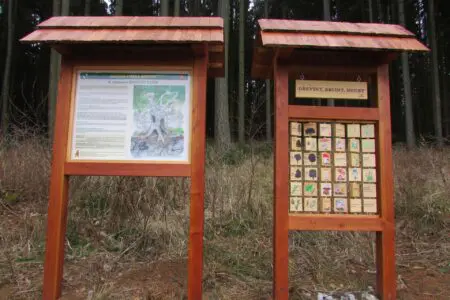 humpolec-stezky-naučna-stezka-brezina_10