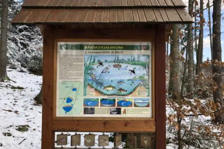 humpolec-stezky-naučna-stezka-brezina_13