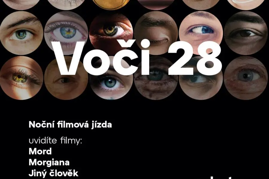 VOČI 29
