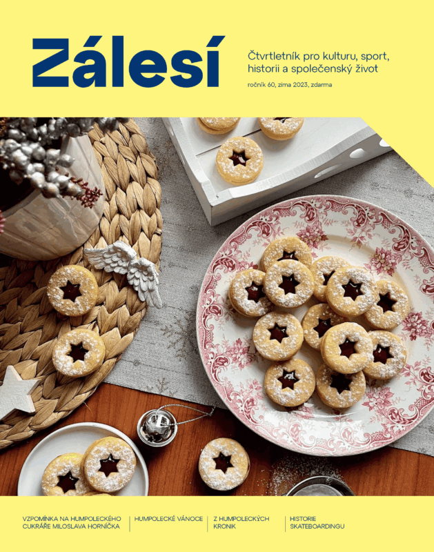 zalesi-2023-prosinec