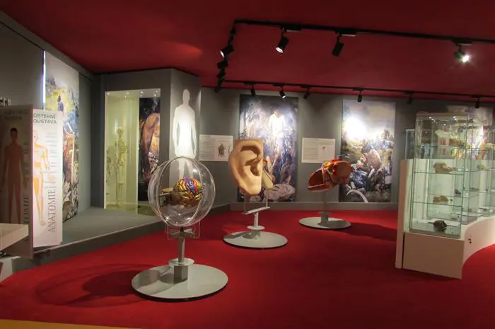 I v&nbsp;našem městě může letos vyrůst Rákosníčkovo hřiště!