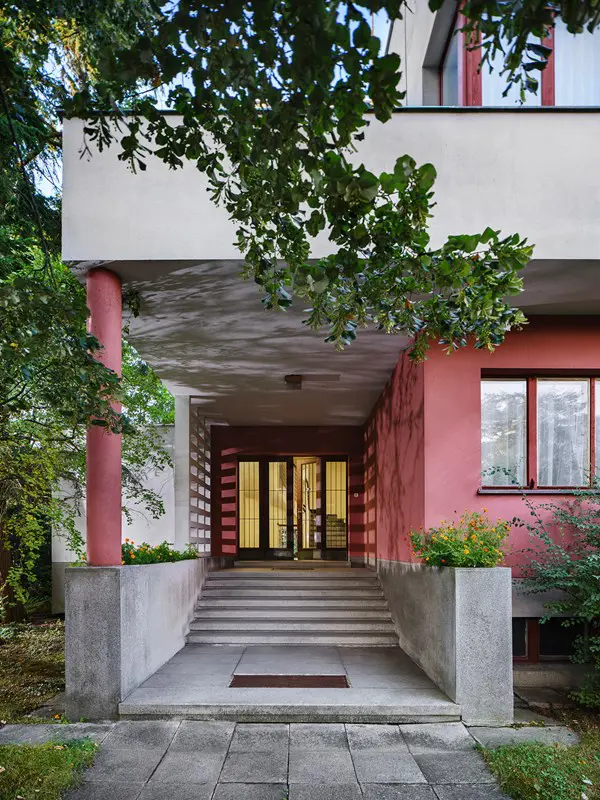 medova(1)