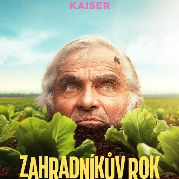 Promítání letního kina se přesouvá do Mikáda