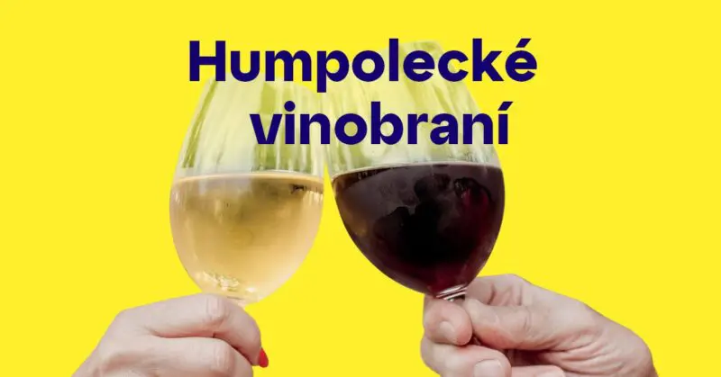 538641179_1178860367603329_8029389403199214765_n