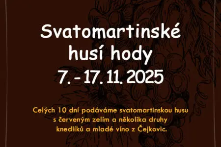 Svatomartinské husí hody