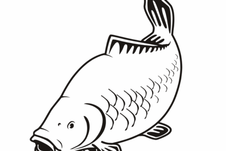 Výlov rybníka Cihelna