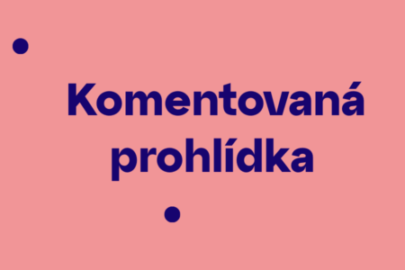 Komentovaná prohlídka k výstavě Oprášeno