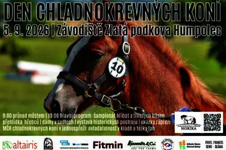 Den chladnokrevných koní